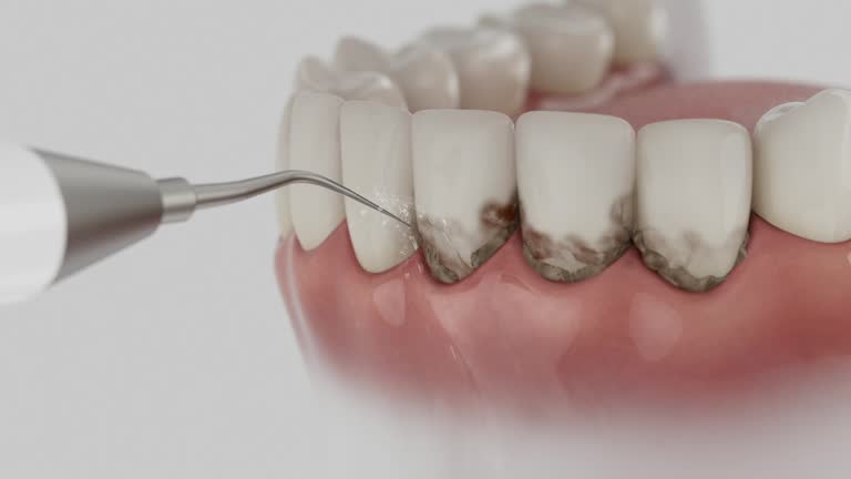 Reliable Dental contractor in Locust, NC by Dentist Open Now